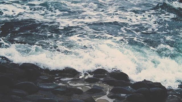 HPV 예방접종과 효과적인 예방 방법 이미지