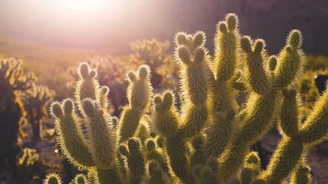 Q&A 자주 묻는 질문과 답변 이미지