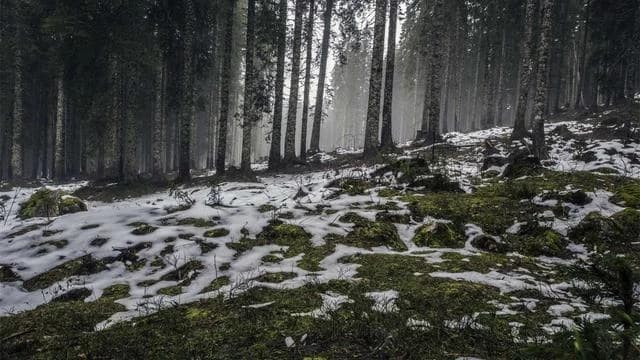 고지혈증 약 복용 시 혈액검사와 모니터링의 중요성 이미지