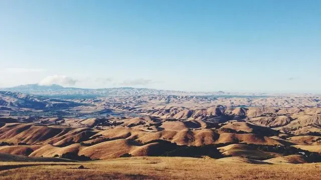 Q&A 수두 초기증상 자주 묻는 질문 이미지