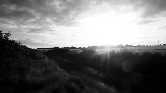 자유한길단 카페와 전한길 강사의 관계 이미지