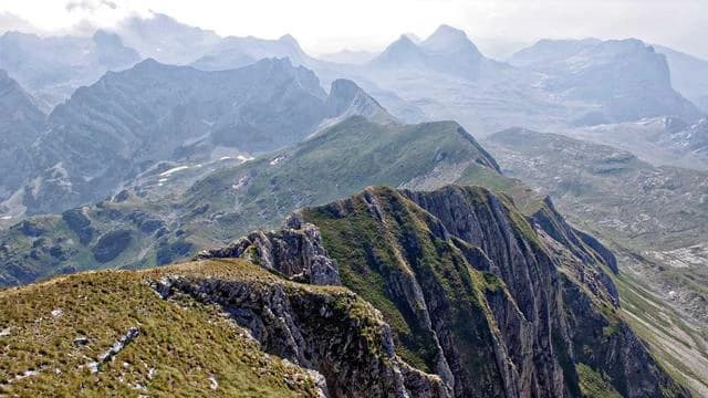 메이플키우기 환불 관련 자주 묻는 질문 Q&A 이미지