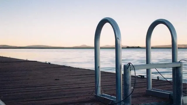 아연과 함께 섭취하면 좋은 영양소와 조합법 이미지