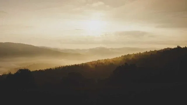 영문주소변환기 활용 시 자주 발생하는 문제와 해결법 이미지