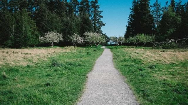 핵심 요약 이미지