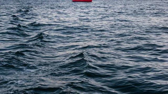 넷마블 바둑 사용 중 알아두면 좋은 문제 해결 팁 이미지