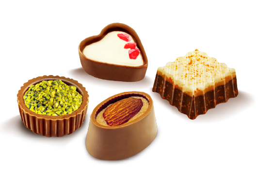 Gourmet chocolate assortment