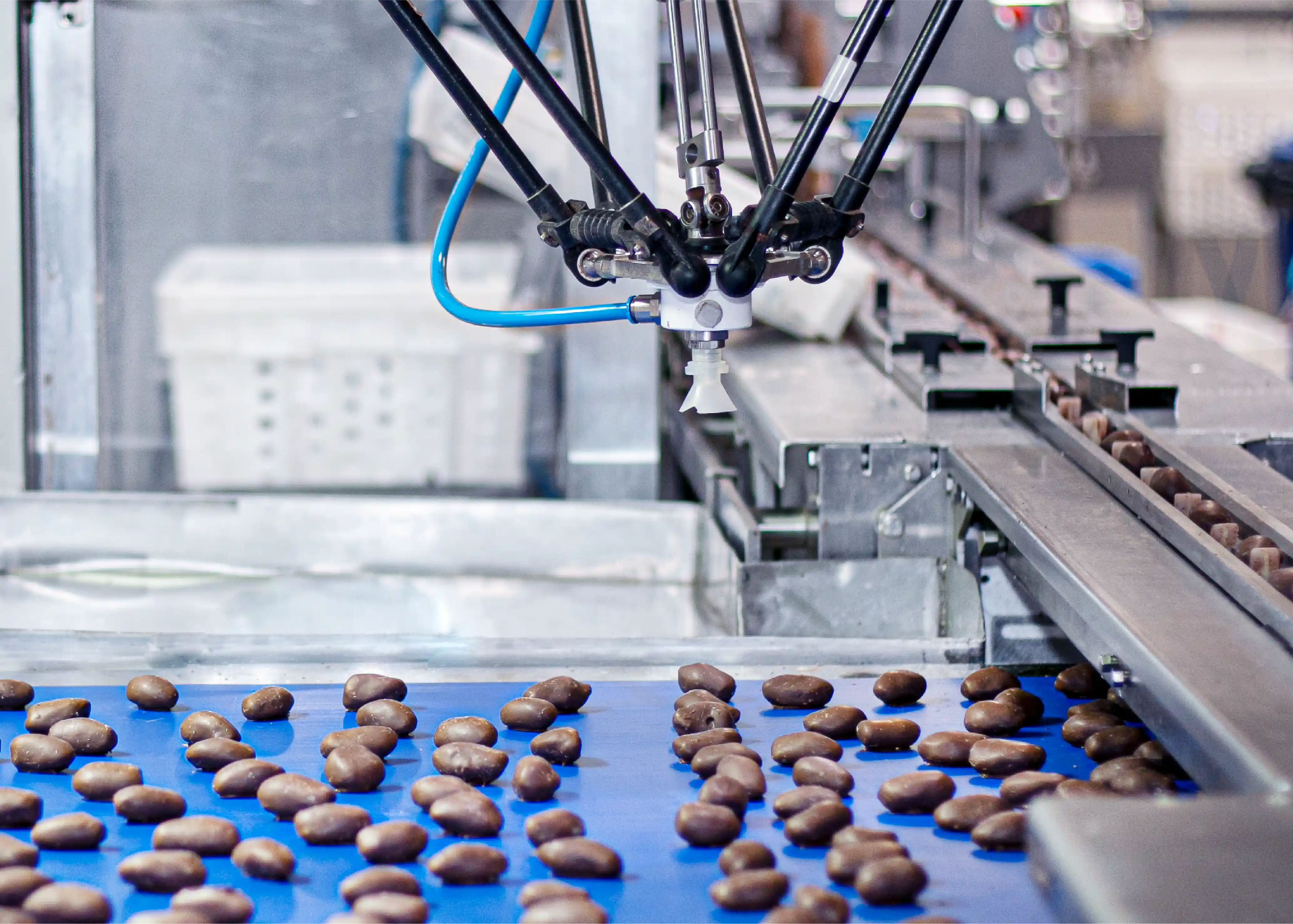 Star Foods Industries factory floor