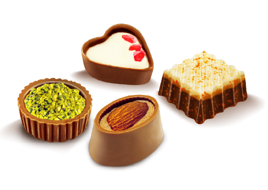 Gourmet chocolate assortment
