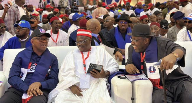 NDC Holds Special Convention in Abuja as Key Party Leaders Gather to Select 2027 Presidential Flagbearer