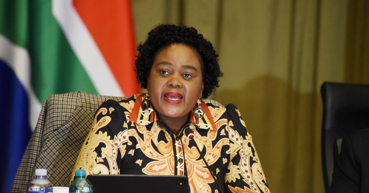 Government warns immigration tensions and xenophobia concerns are harming South Africa’s international reputation