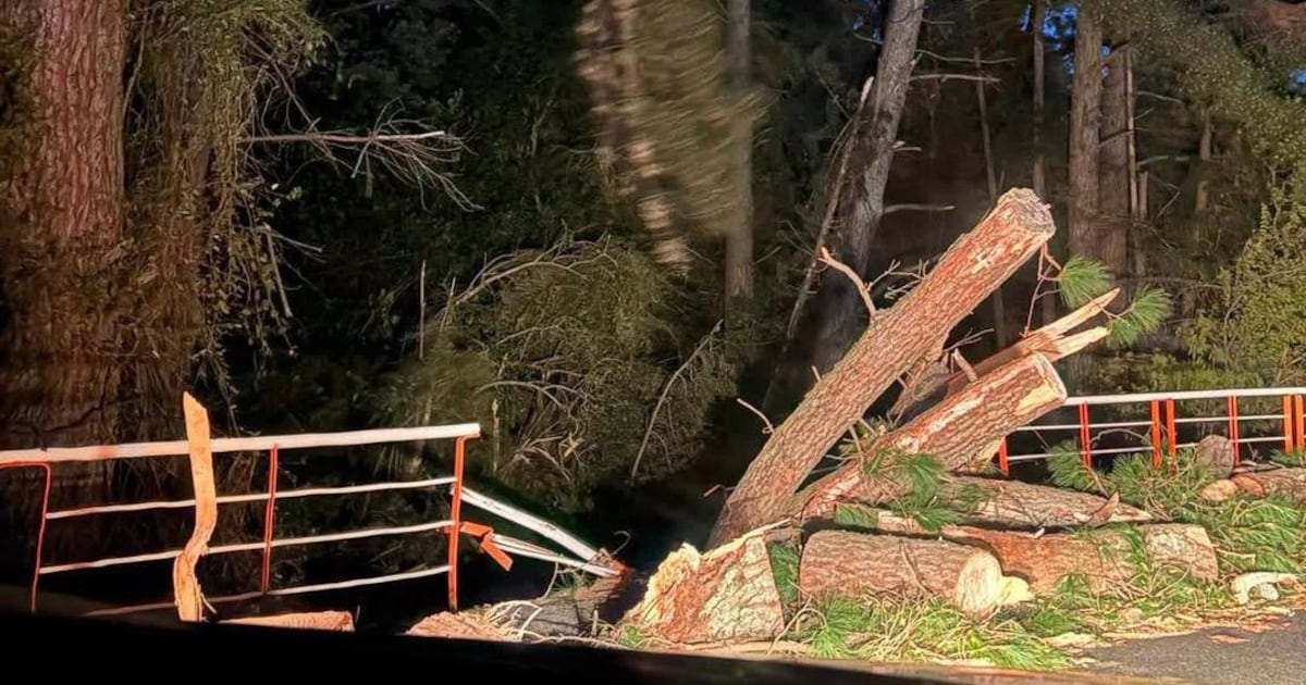 Fuertes vientos en el sur de Chile dejan lesionados y daños en viviendas entre Maule y Los Lagos