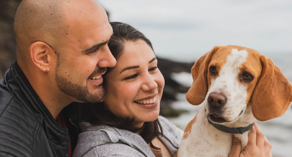 Millennials en Perú redefinen la familia: entre la maternidad y el vínculo con las mascotas