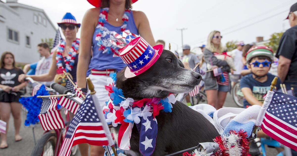 Keeping Pets Safe During the Fourth of July Fireworks