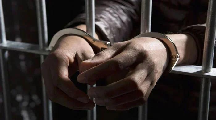 lahore court grants 5-day remand for suspects in foreign nationals' assault case