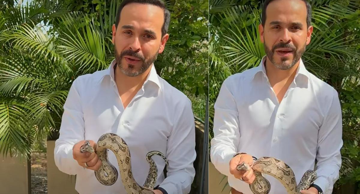 Abelardo De la Espriella enfrenta desafíos como una serpiente en su casa