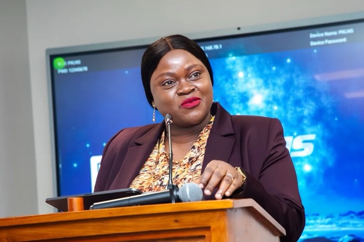 Tanzania's Export Earnings Reach $17 Billion in 2025