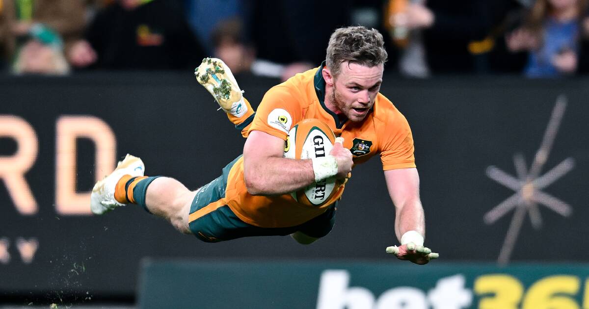 Wallabies' Ryan Lonergan undergoes scans after injury in Ireland clash
