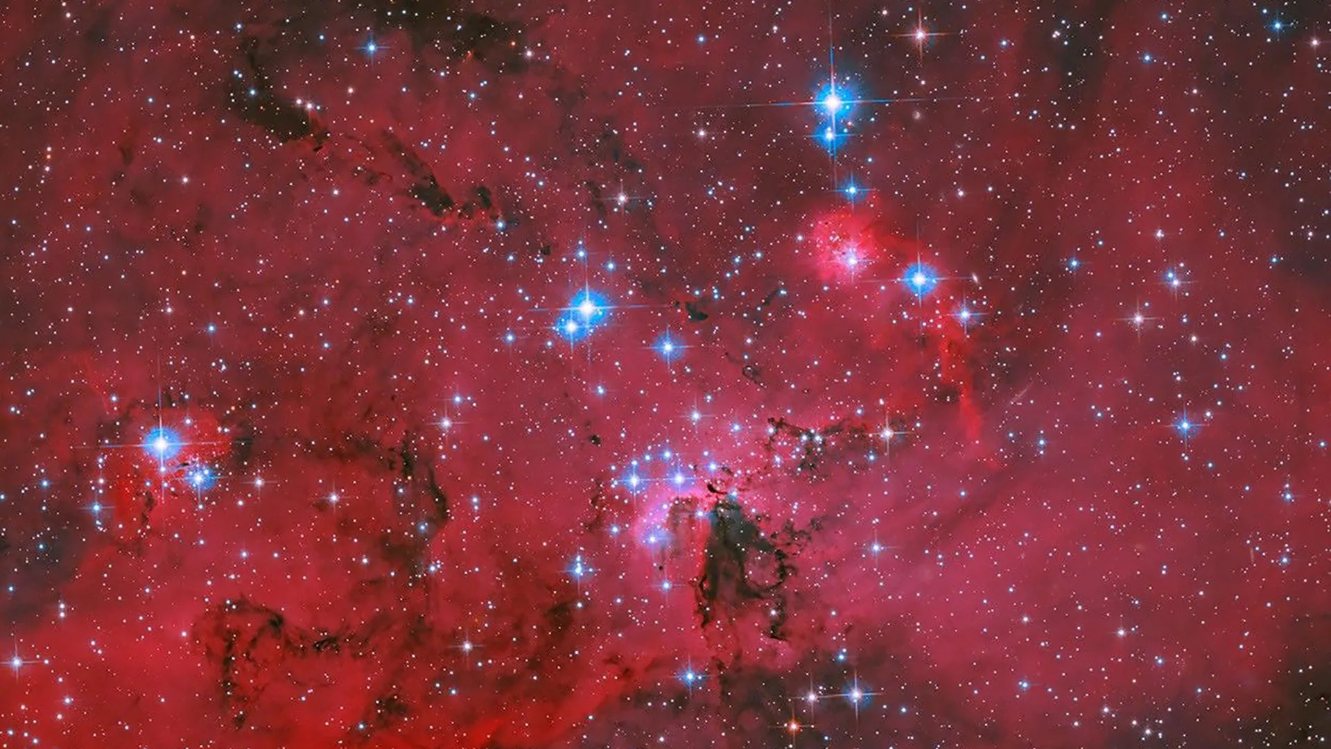 Hubble observations of LH 95 provide new insights into the long-term growth of young stars