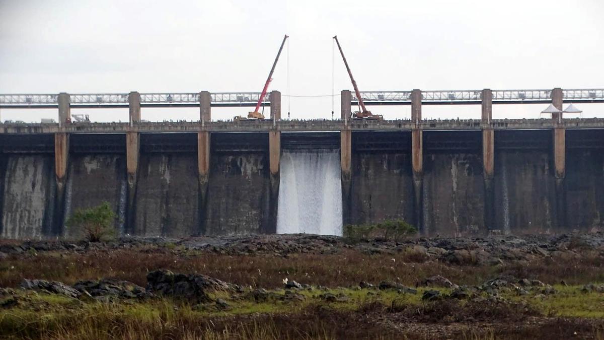 Weak monsoon threatens paddy crops and rice mills in Karnataka's Tungabhadra region