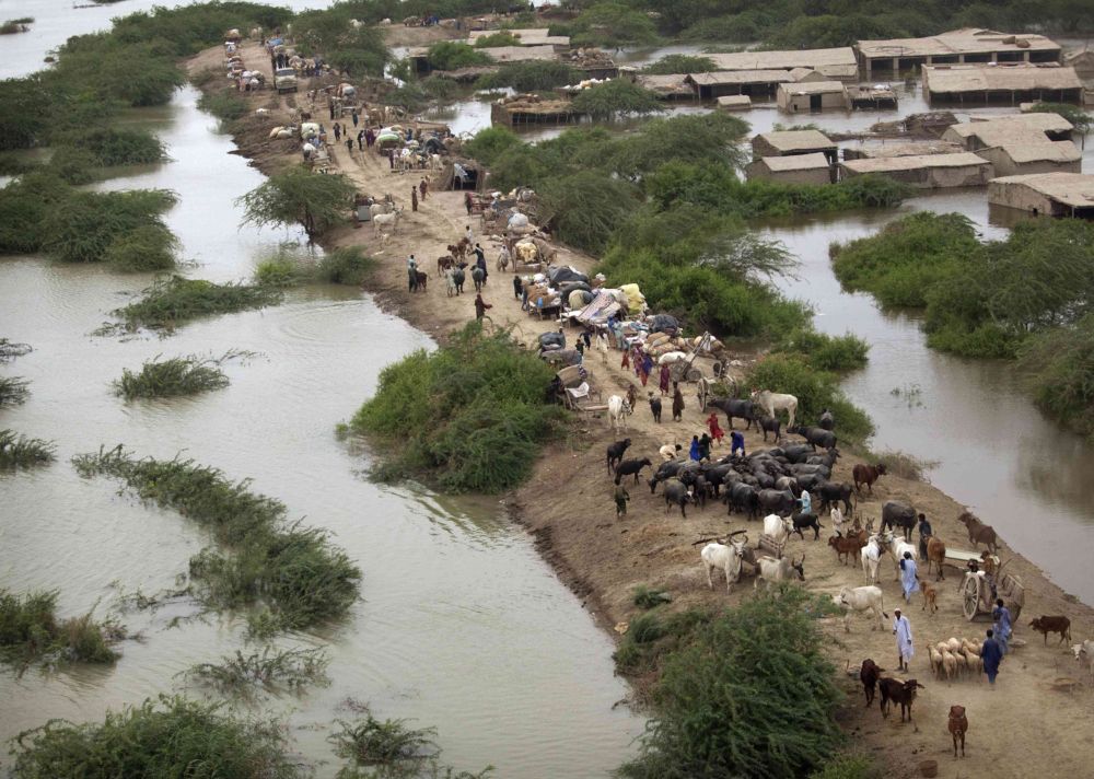 Pakistan's Water Crisis: A Call for Internal Reform Over Blame