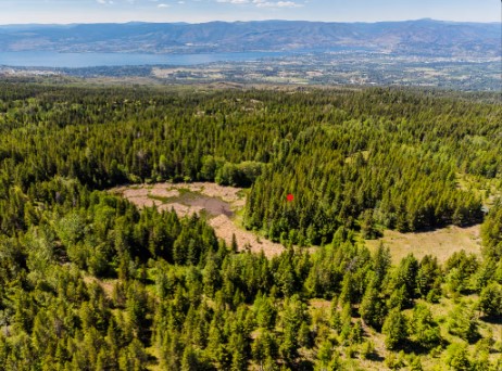 BC Parks Launches Fundraising Campaign to Acquire Private Parcel for Myra Bellevue Park Conservation