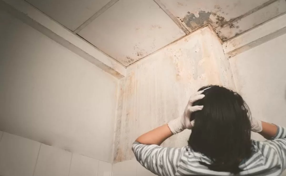 Consejos para prevenir humedades y goteras en el hogar