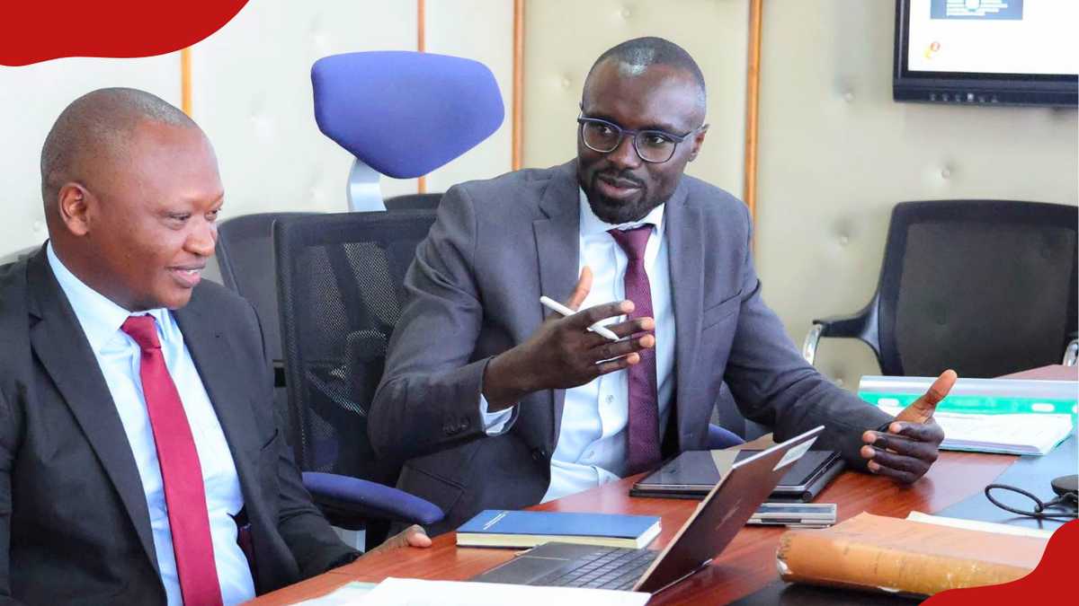 Kenya Introduces Land Reclamation Bill to Combat Degradation and Enhance Food Security