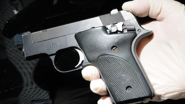 Rising Rates of Gun-Related Intimate Partner Violence in Canada, According to StatsCan