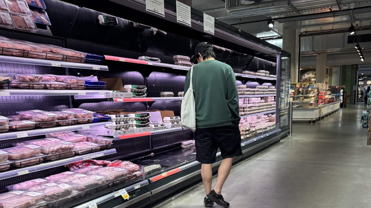 Australia's Economic Outlook: Rate Cuts, Petrol Prices, and Market Reactions