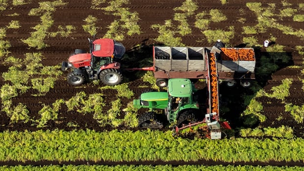 Canada's Farmland Crisis: Challenges and Government Strategies