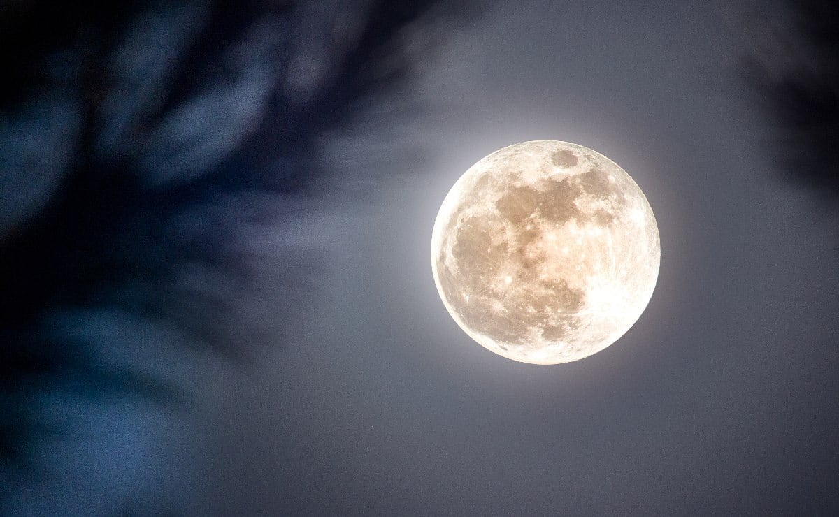 Luna de Ciervo 2026: Fecha y horario para ver la Luna llena de julio en México