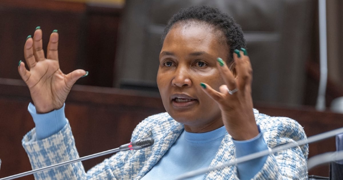 NHFC Marks 30 Years of Housing Progress in South Africa