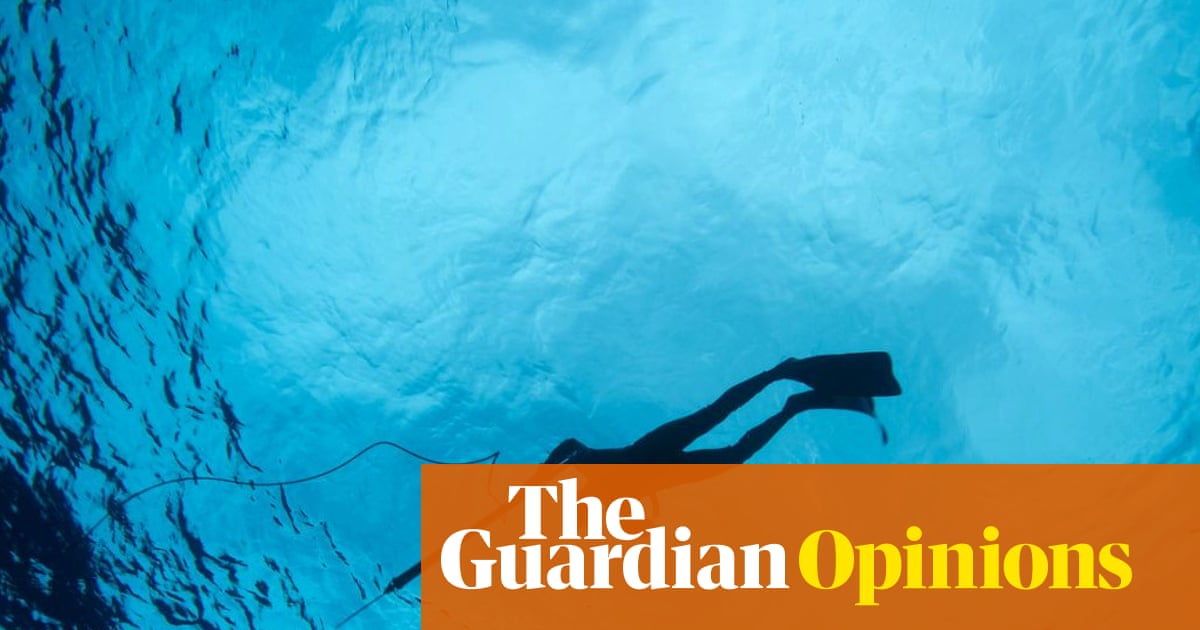 Navigating the New Reality of Shark Encounters in Australian Waters