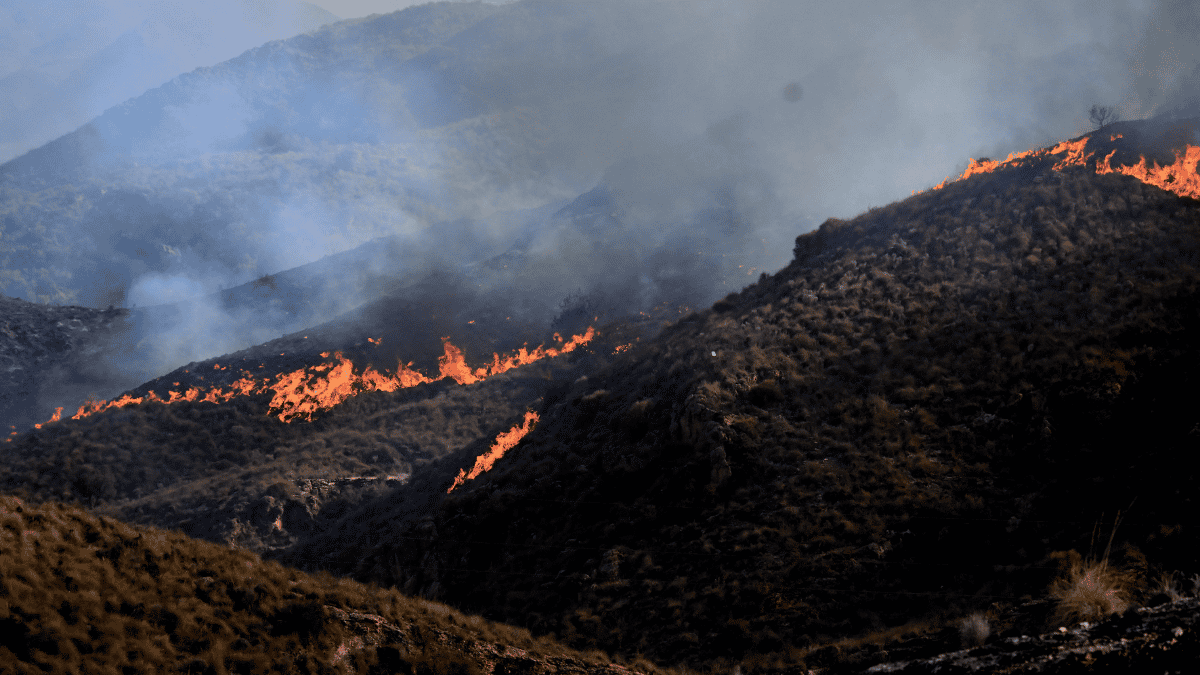 Miles de personas regresan a sus hogares tras controlar el incendio en España