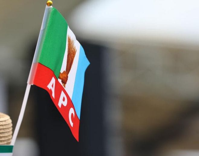 APC Secures All Seats in Edo LG Election