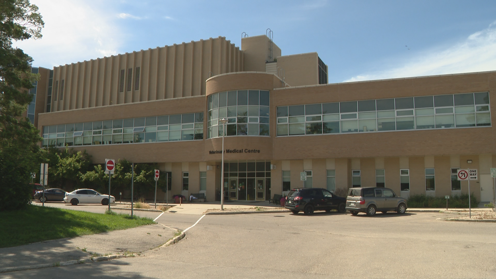Wildlife Rehabilitation Centers Face Challenges as University of Saskatchewan Suspends Wildlife Services