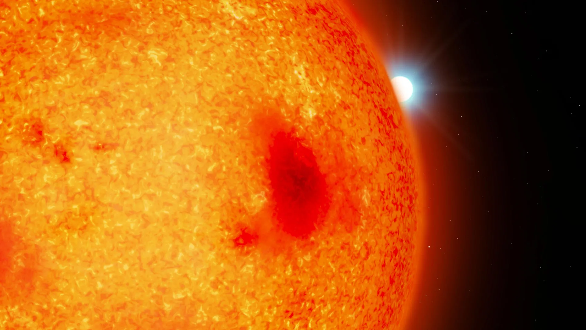 Four Hidden White Dwarf Stars Discovered Near Earth by Astronomers