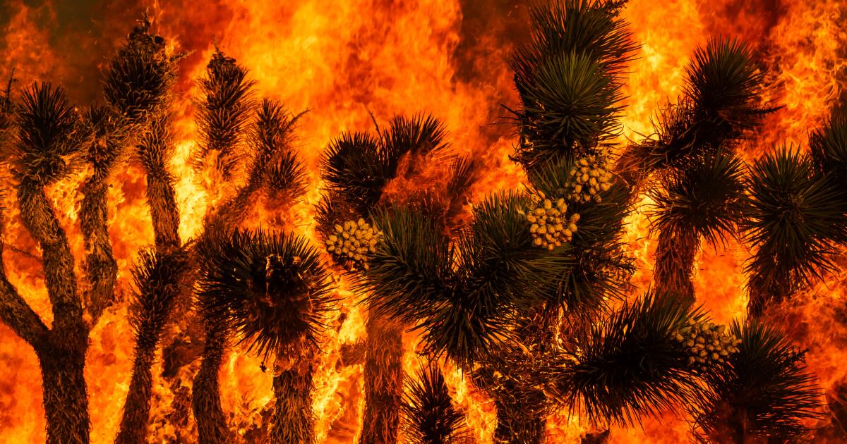 Southern California Faces Elevated Wildfire Risk Amid Extreme Heatwave
