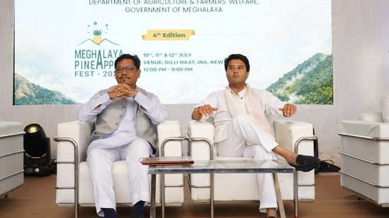 Meghalaya Expands Pineapple Markets Through Retail Partnerships