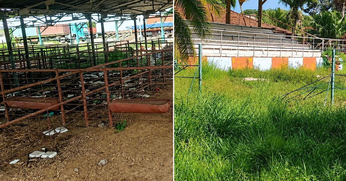 Abandono de Rancho Boyeros y crisis de infraestructuras en Cuba