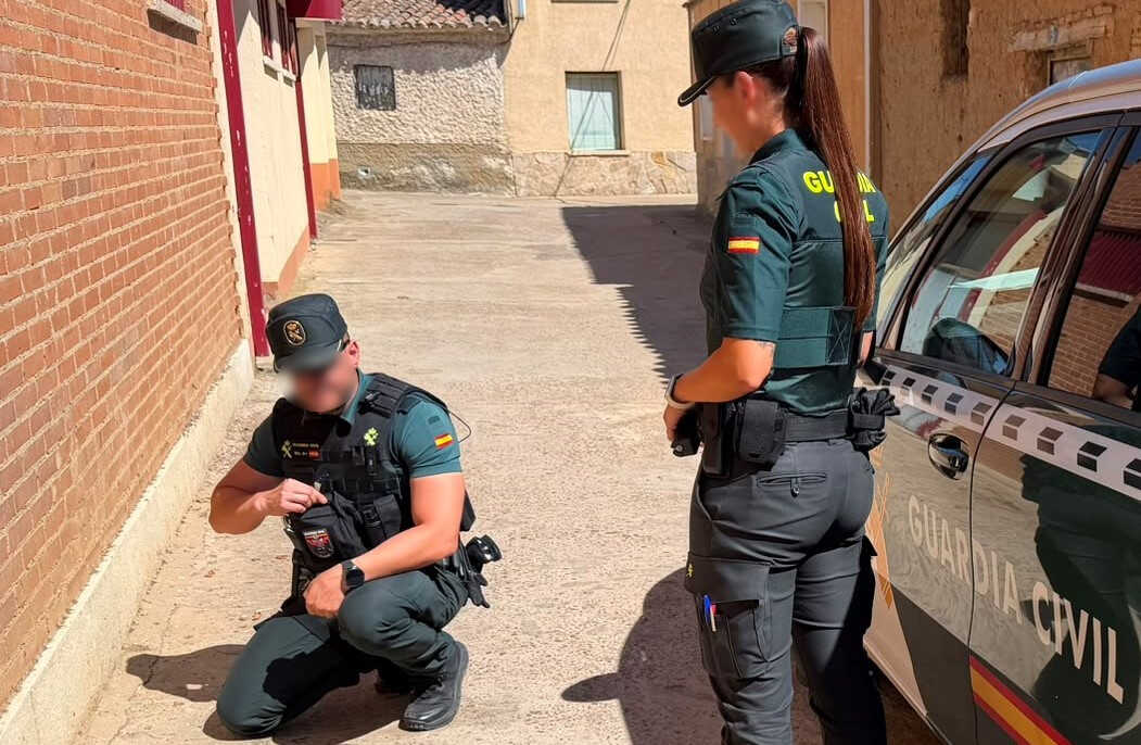Cinco menores investigados por maltrato animal en Zamora