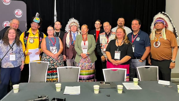 Systemic Healthcare Challenges Highlighted After 13-Hour Wait for First Nations Chief at Winnipeg Hospital