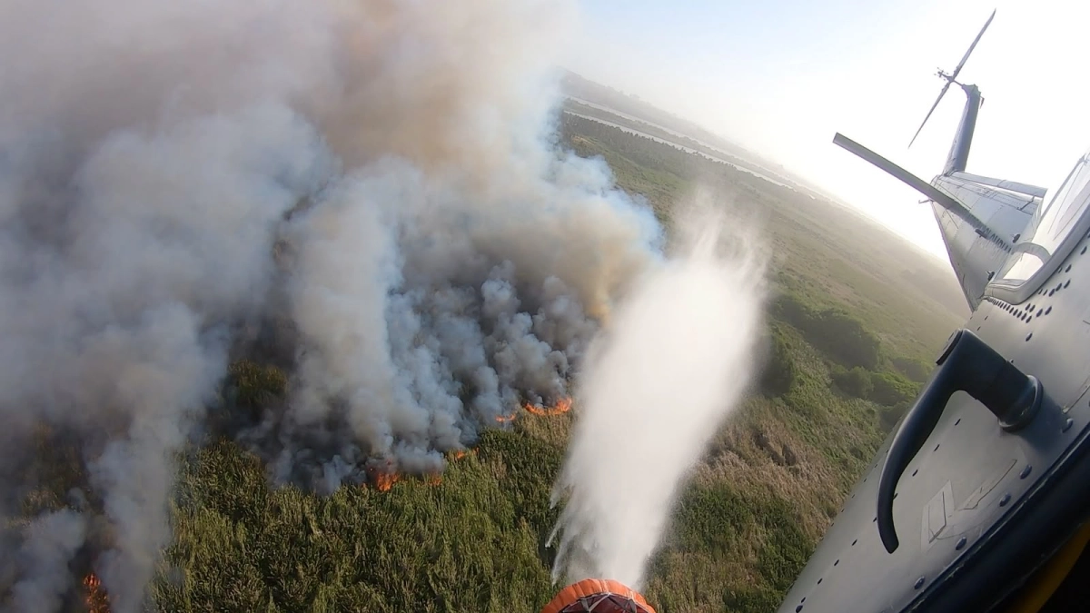 Gobernadora de Magdalena confirma acciones para controlar incendios en Isla Salamanca