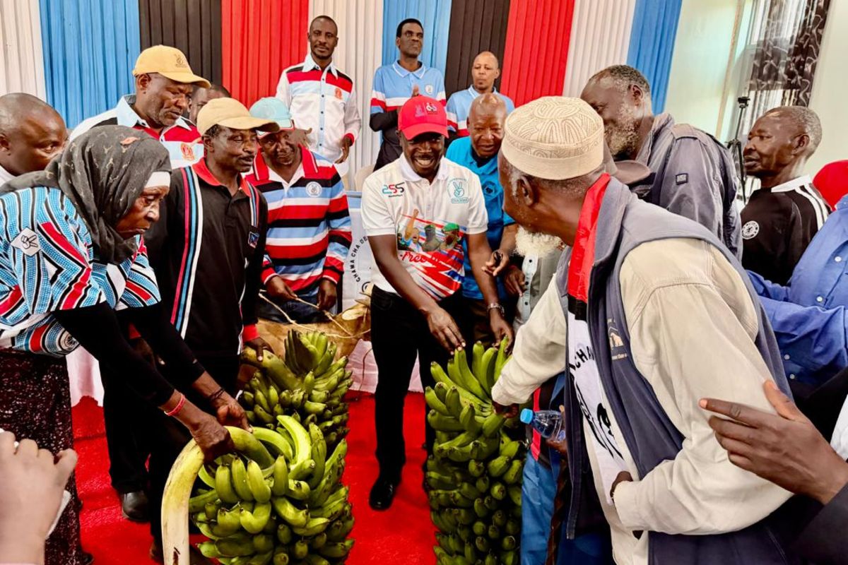Tanzania Recognized for Progress on Sustainable Development Goals at UN Forum