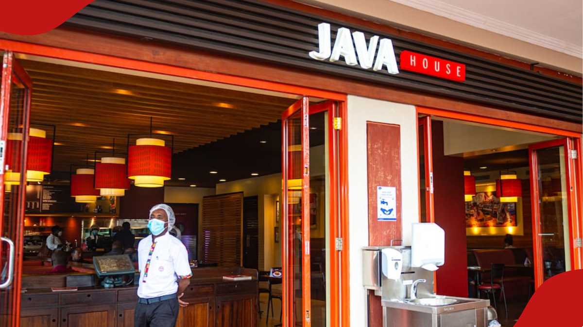 Java House Foundation Launches 35 Fully Funded Scholarships for Young Kenyans in Coffee Sector