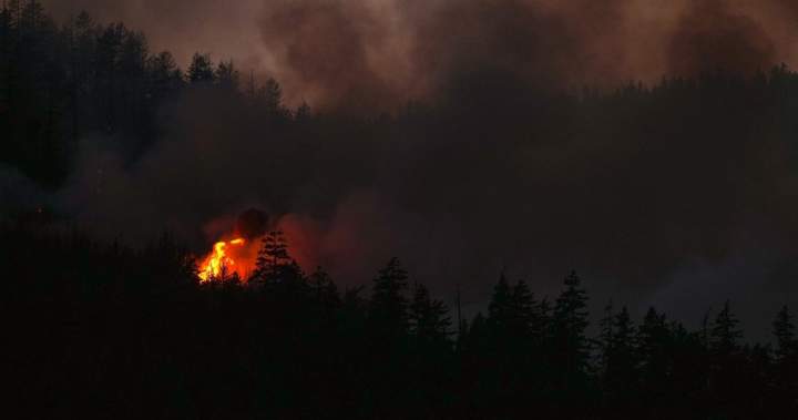B.C. Wildfires Surge Past 100 as Lightning Sparks Intense Fire Season