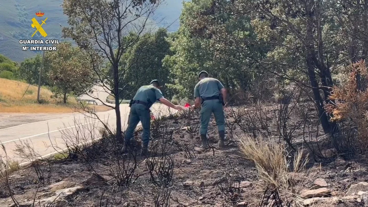 Detenidos por incendios intencionados en Zamora