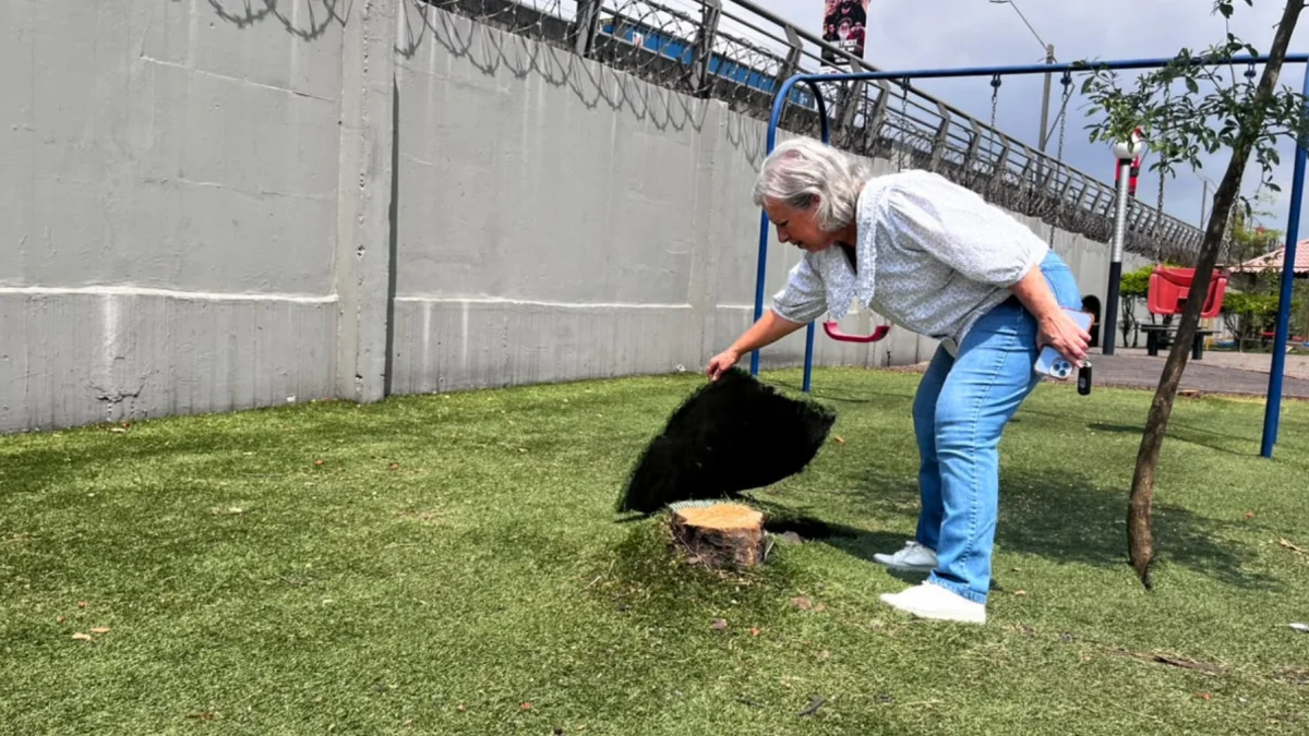 Construcción y tala de árboles generan controversia en la ciudadela Entre Ríos