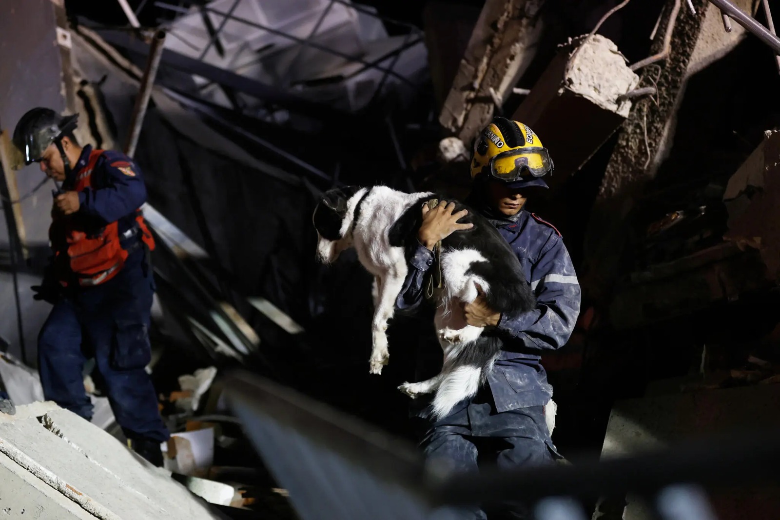 Venezuela busca reencontrar mascotas tras terremotos devastadores